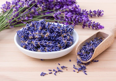 想要舒緩與寧靜？嬰兒睡眠中的魔力：真正薰衣草精油 探索薰衣草的自然鎮定力，幫助嬰兒入夢鄉，讓全家擁有甜蜜夜晚